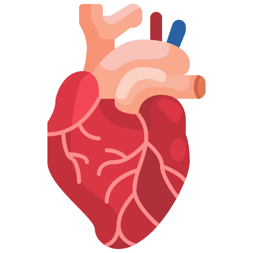 heart