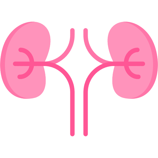 nephrology